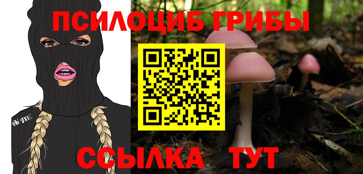 Краснознаменск  Галлюциногенные грибы MAGIC MUSHROOMS  продажа наркотиков  Вход с VPN 